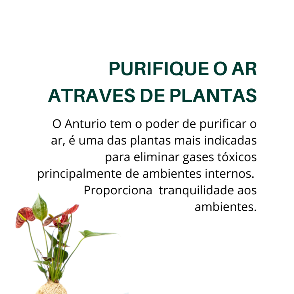 o poder oculto das plantas