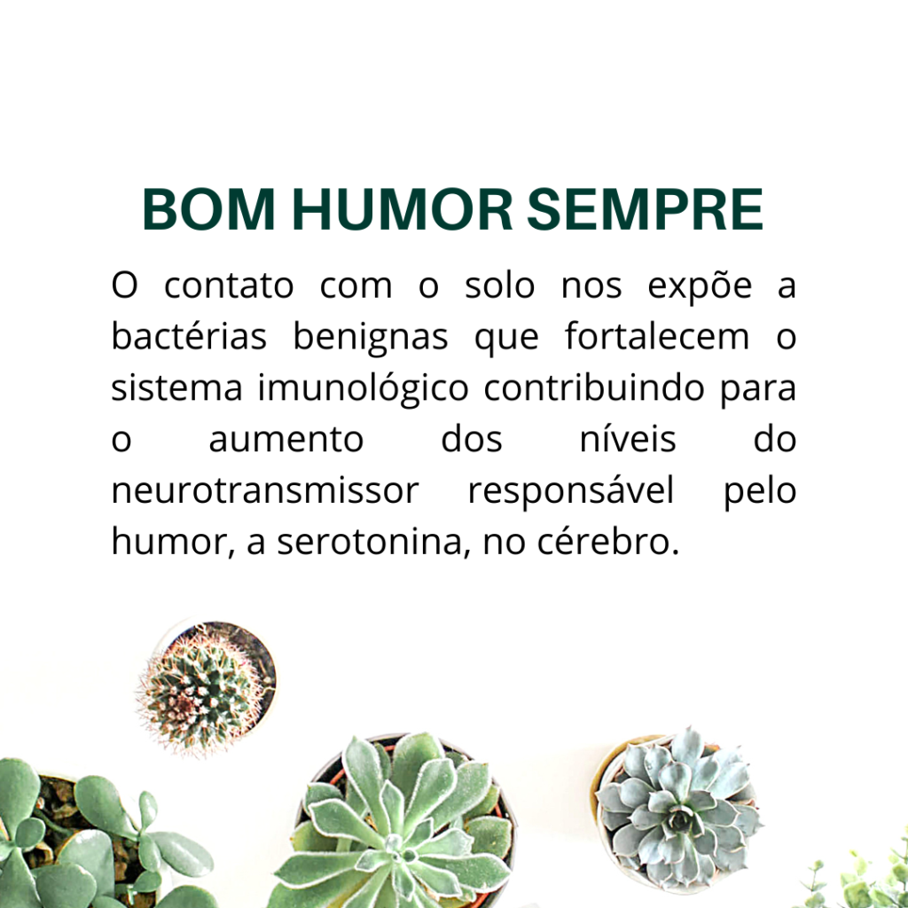 o poder oculto das plantas bom humor