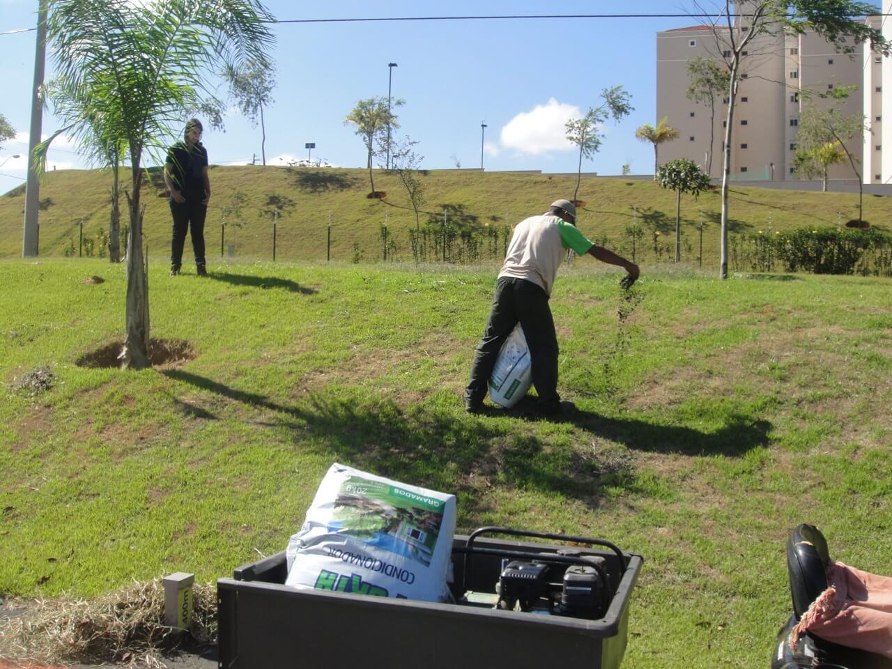 manutenção periódica no seu jardim
