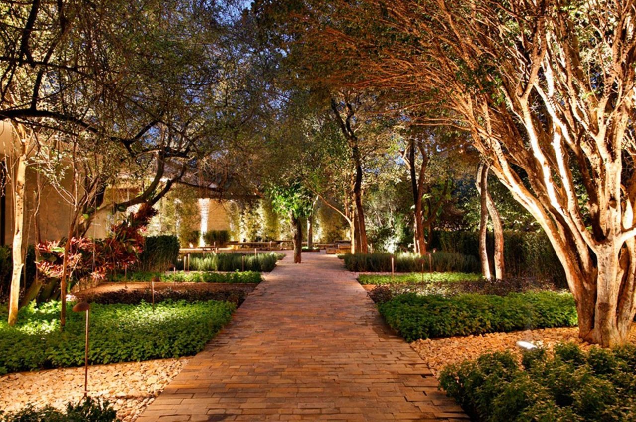 jardim no inverno