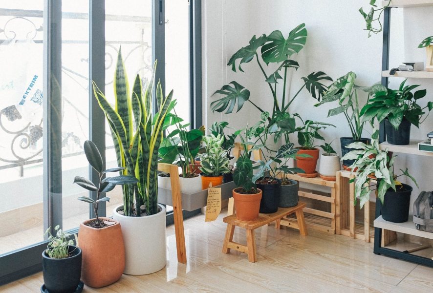 AMBIENTE IDEAL