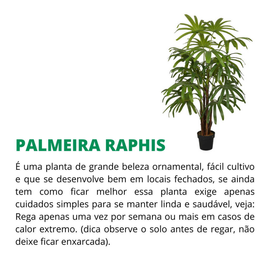 duras de matar raphis