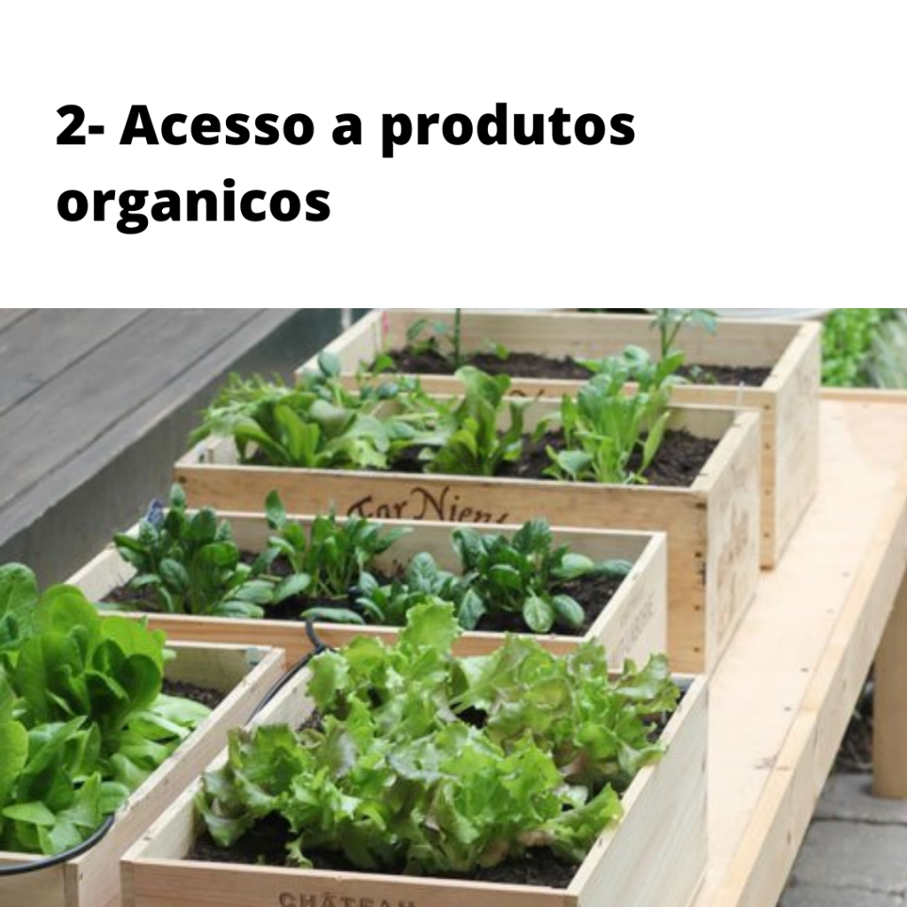 HORTA COMUNITÁRIA