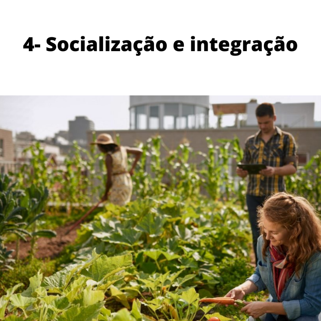 HORTA E SOCIALIZAÇÃO